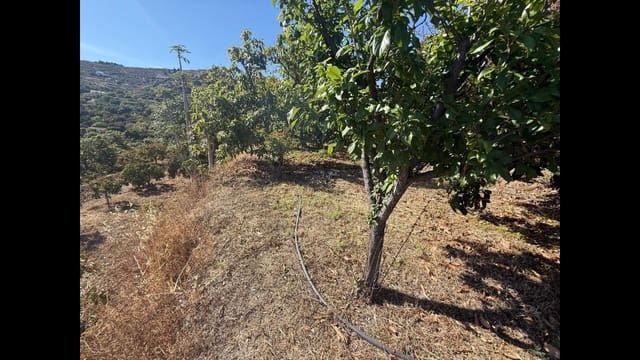 Grond te koop in Almuñécar - € 129.000 (Ref: 8795468)