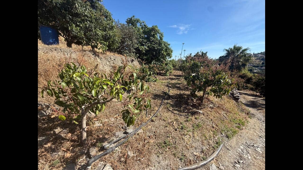 Undeveloped Land for sale in Almunecar - € 129,000 (Ref: 8795468)