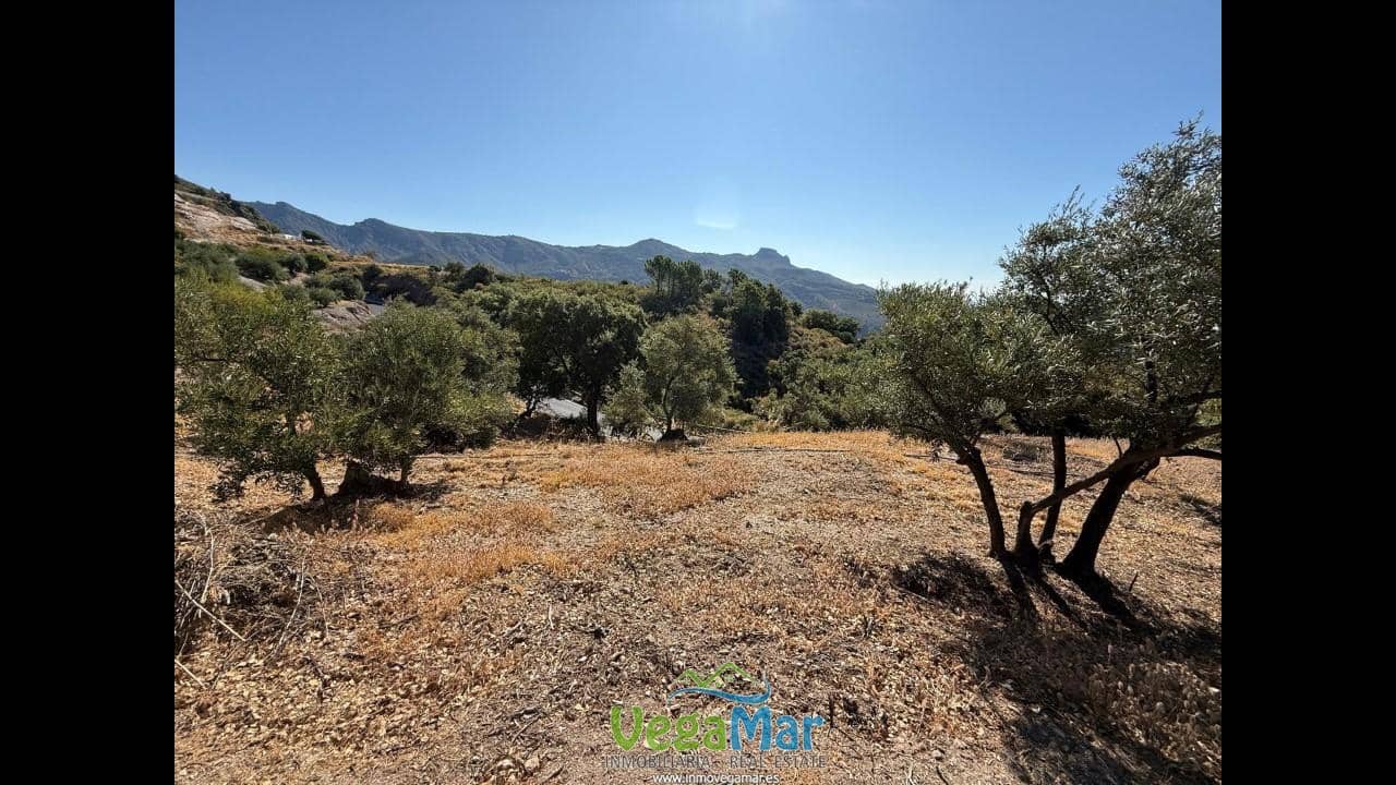 Ubebygd land til salgs i Otivar - € 25 000 (Ref: 8891497)