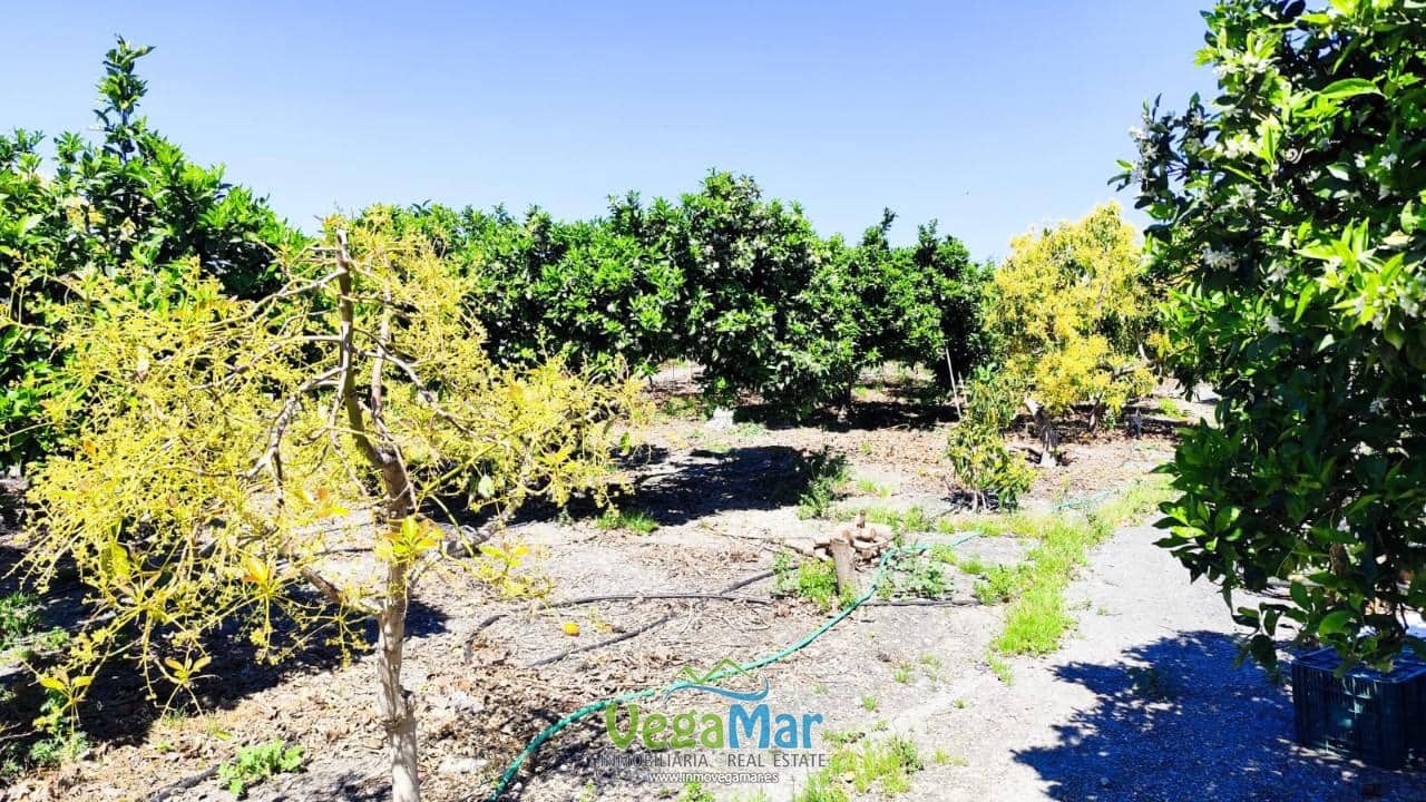 6 soverom Villa til salgs i Motril - € 400 000 (Ref: 8967796)