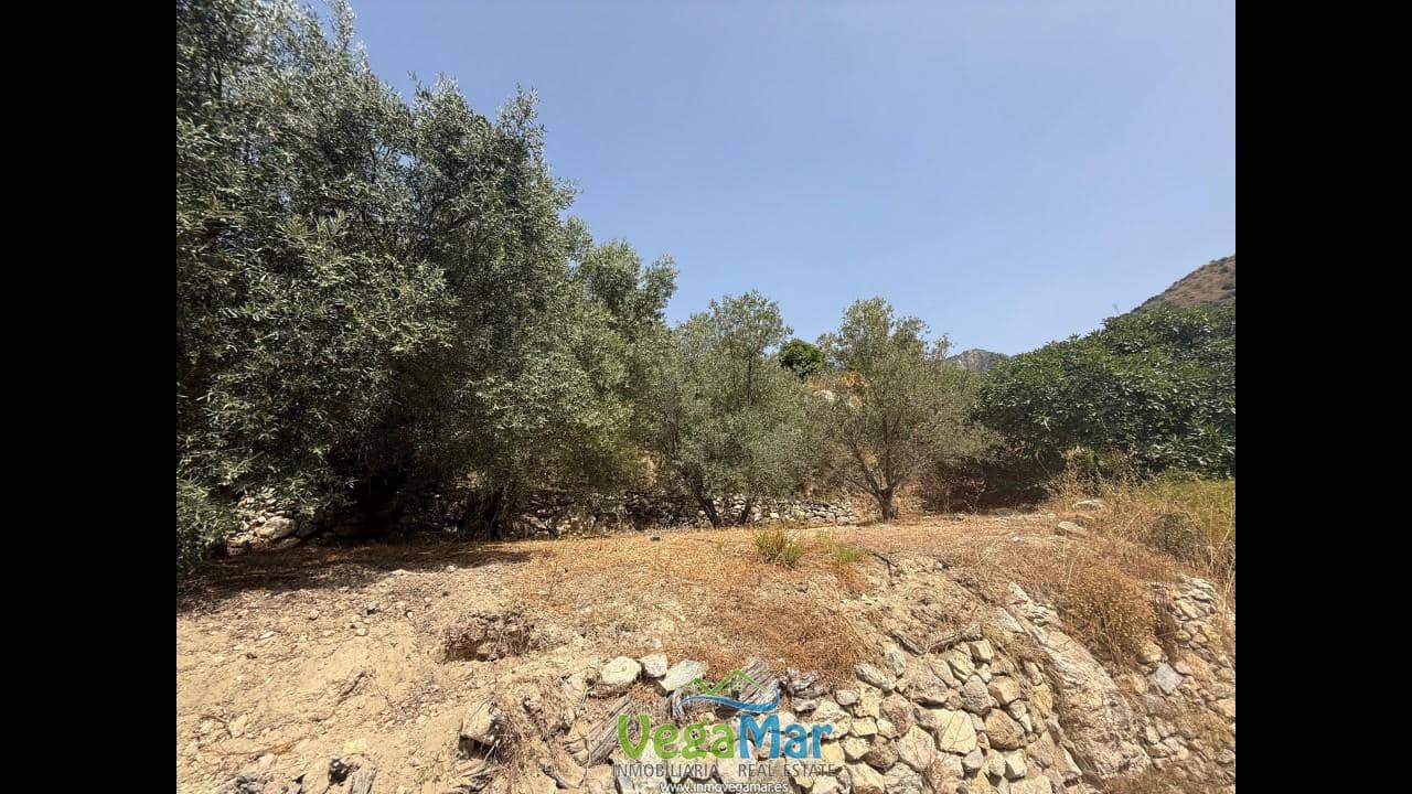 Undeveloped Land for sale in Almunecar - € 80,000 (Ref: 9175576)
