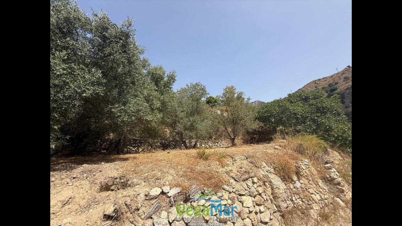 Undeveloped Land for sale in Almunecar - € 80,000 (Ref: 9175576)