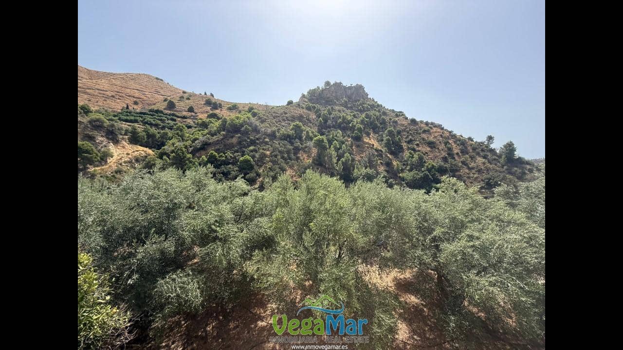 Undeveloped Land for sale in Almunecar - € 80,000 (Ref: 9175576)