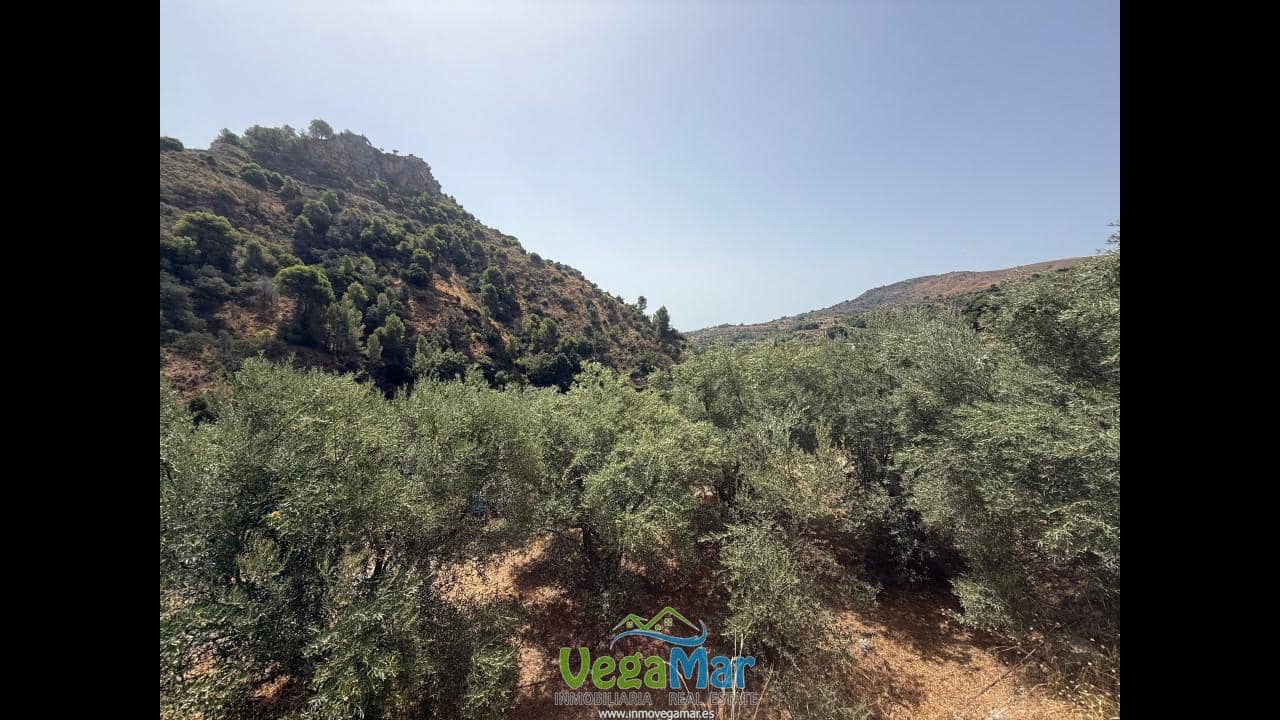 Undeveloped Land for sale in Almunecar - € 80,000 (Ref: 9175576)