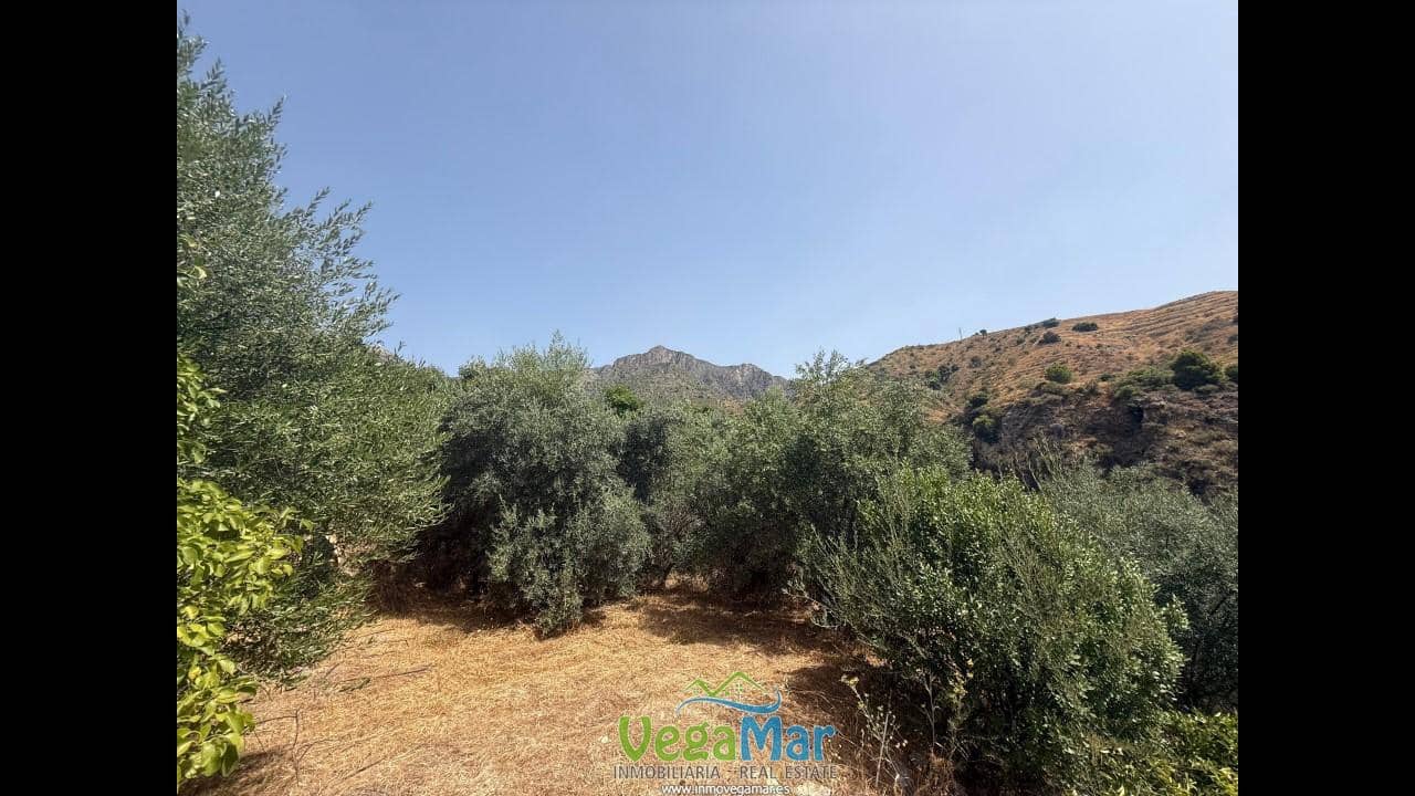 Undeveloped Land for sale in Almunecar - € 80,000 (Ref: 9175576)