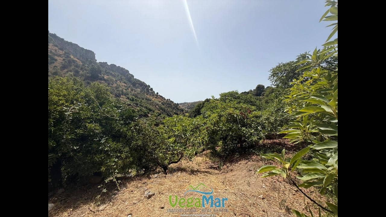 Undeveloped Land for sale in Almunecar - € 80,000 (Ref: 9175576)