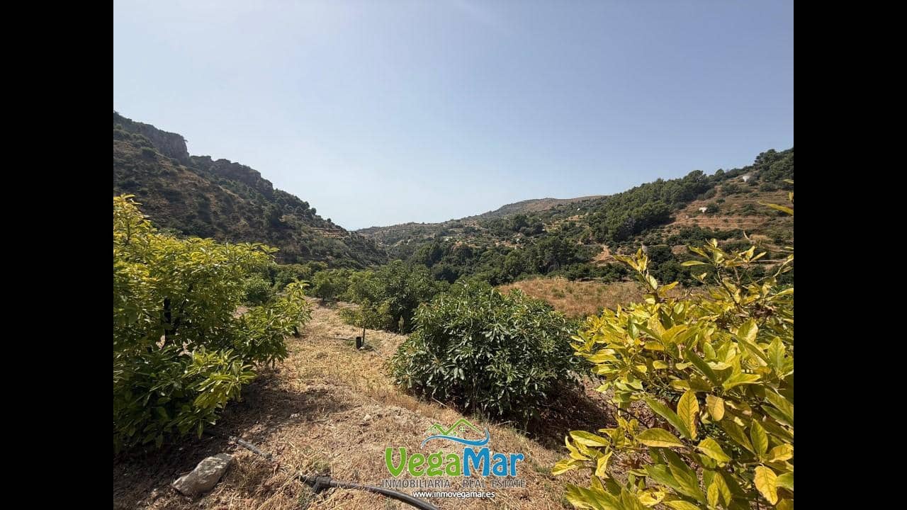 Undeveloped Land for sale in Almunecar - € 80,000 (Ref: 9175576)