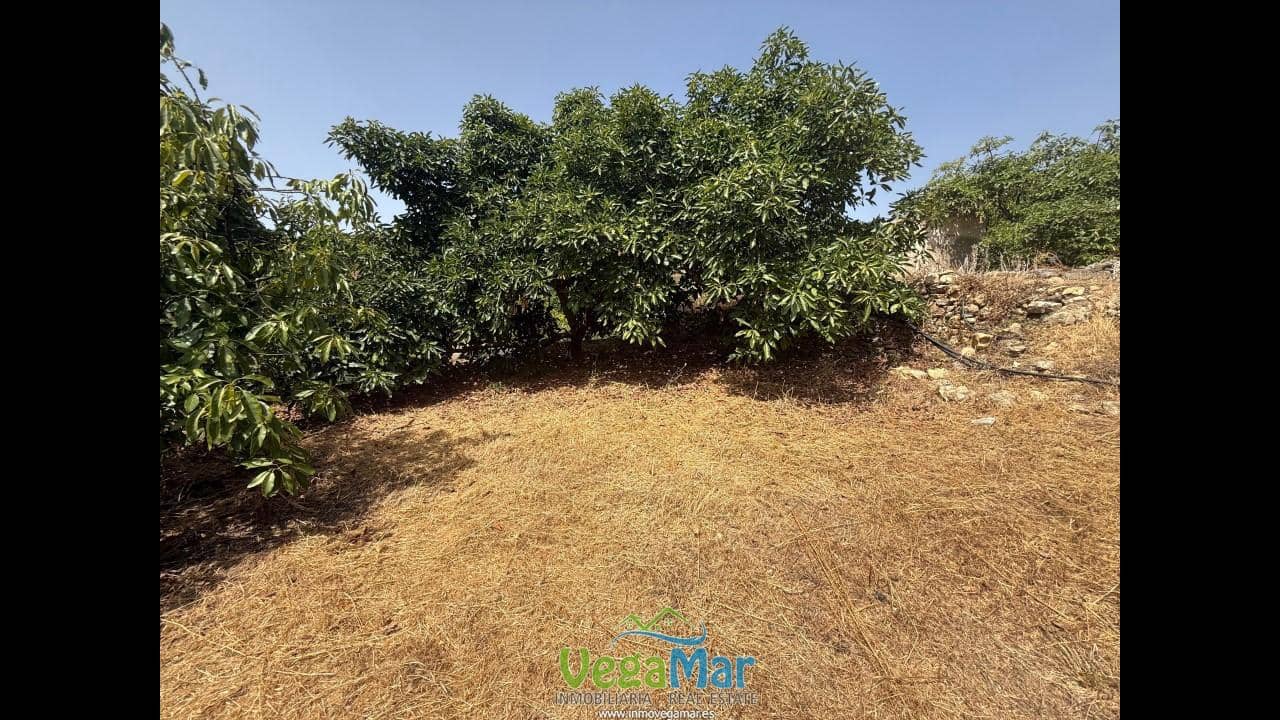 Undeveloped Land for sale in Almunecar - € 80,000 (Ref: 9175576)
