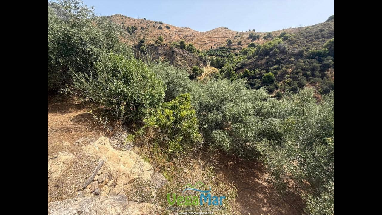 Undeveloped Land for sale in Almunecar - € 80,000 (Ref: 9175576)