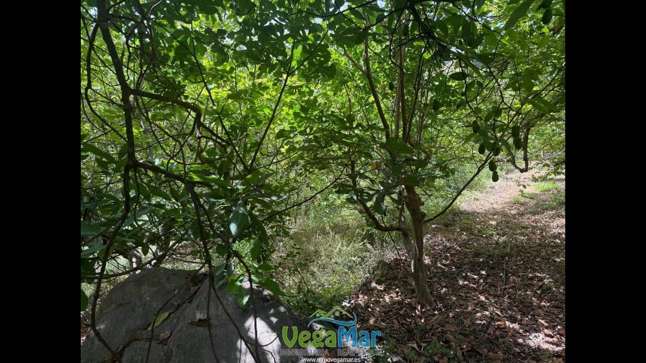 Undeveloped Land for sale in Almunecar - € 80,000 (Ref: 9175576)