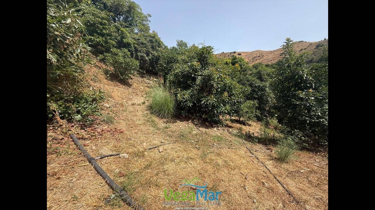 Undeveloped Land for sale in Almunecar - € 80,000 (Ref: 9175576)