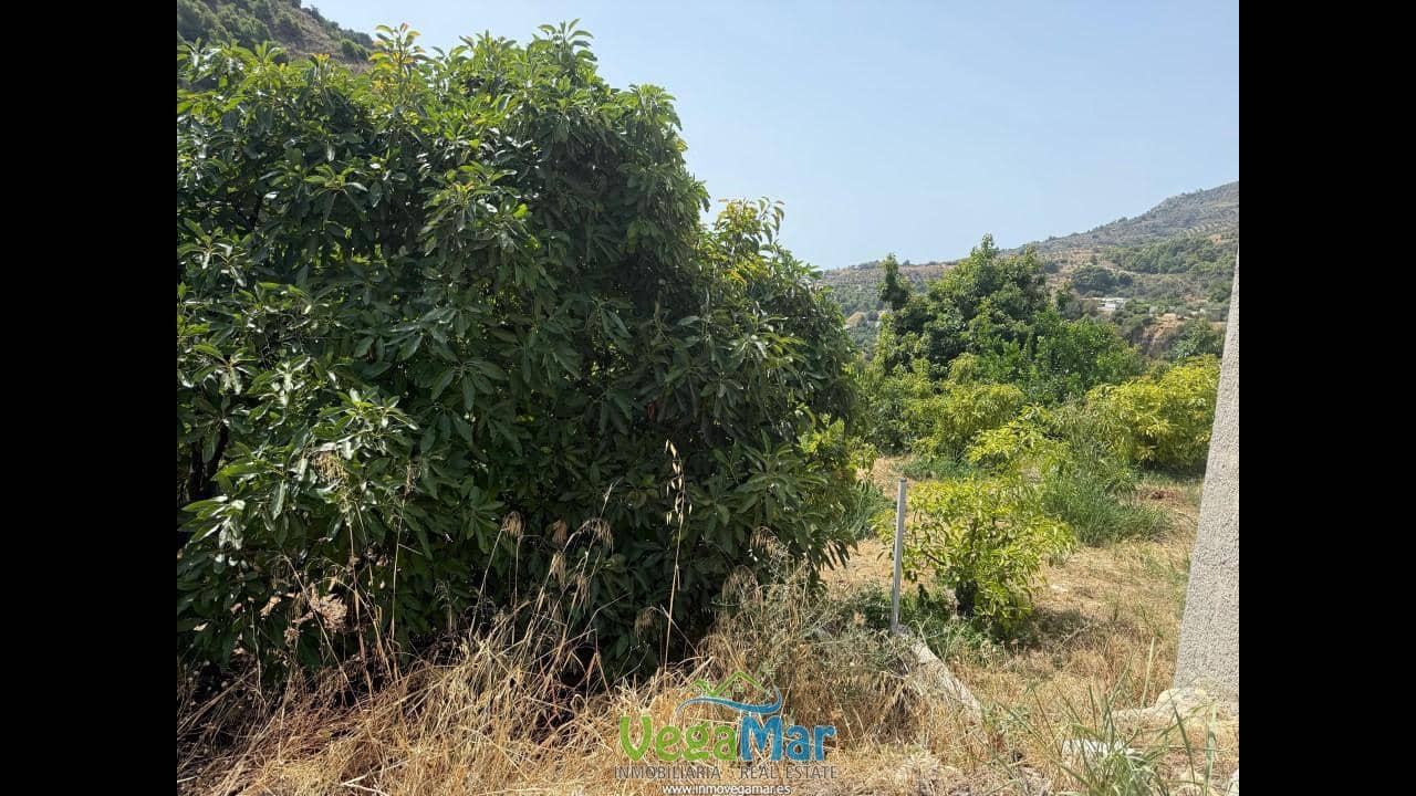 Undeveloped Land for sale in Almunecar - € 80,000 (Ref: 9175576)