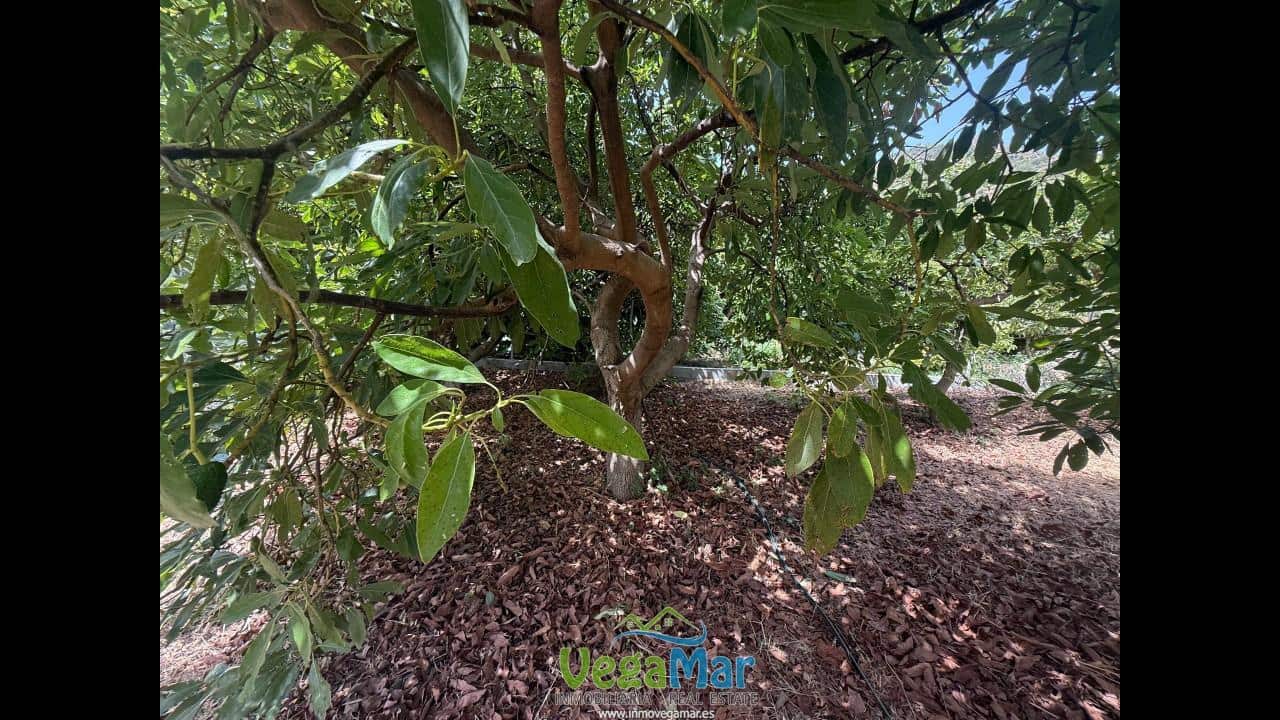 Undeveloped Land for sale in Almunecar - € 80,000 (Ref: 9175576)