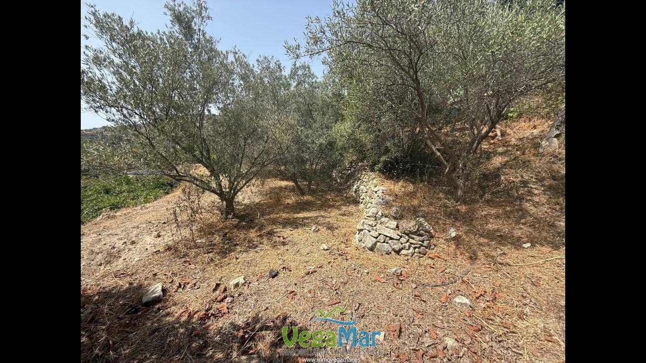 Undeveloped Land for sale in Almunecar - € 80,000 (Ref: 9175576)