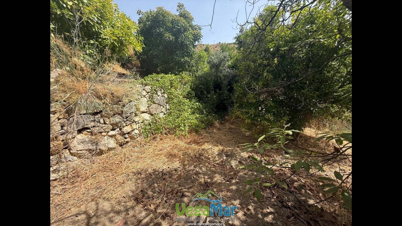 Undeveloped Land for sale in Almunecar - € 80,000 (Ref: 9175576)