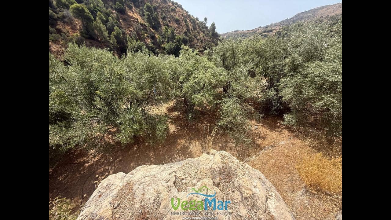Undeveloped Land for sale in Almunecar - € 80,000 (Ref: 9175576)
