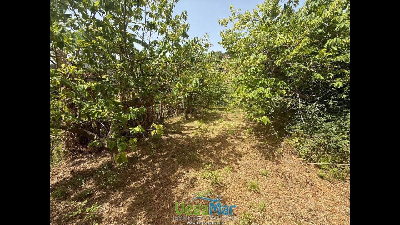 Undeveloped Land for sale in Almunecar - € 80,000 (Ref: 9175576)
