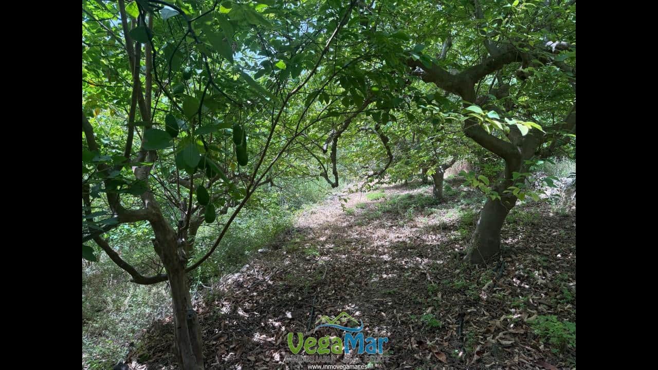 Undeveloped Land for sale in Almunecar - € 80,000 (Ref: 9175576)