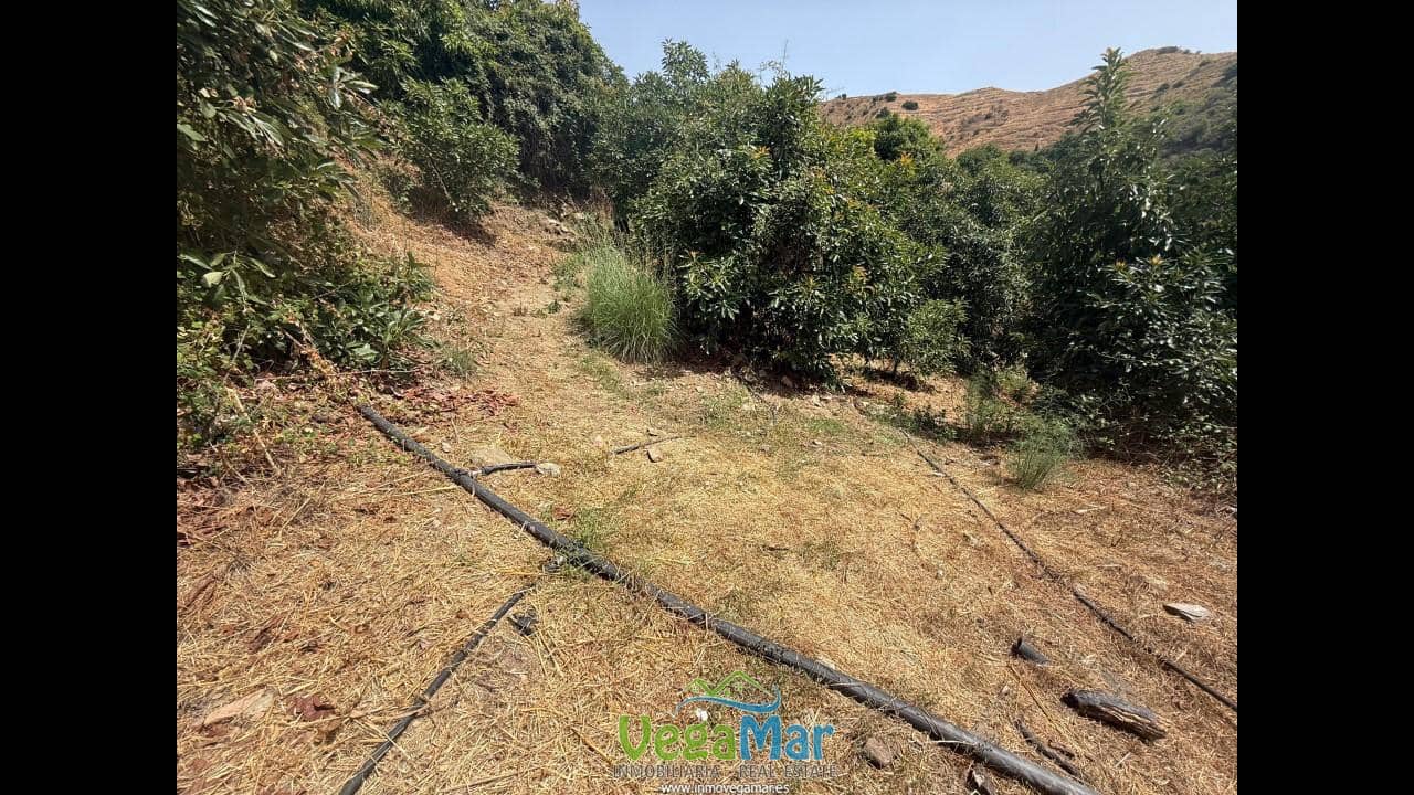 Undeveloped Land for sale in Almunecar - € 80,000 (Ref: 9175576)