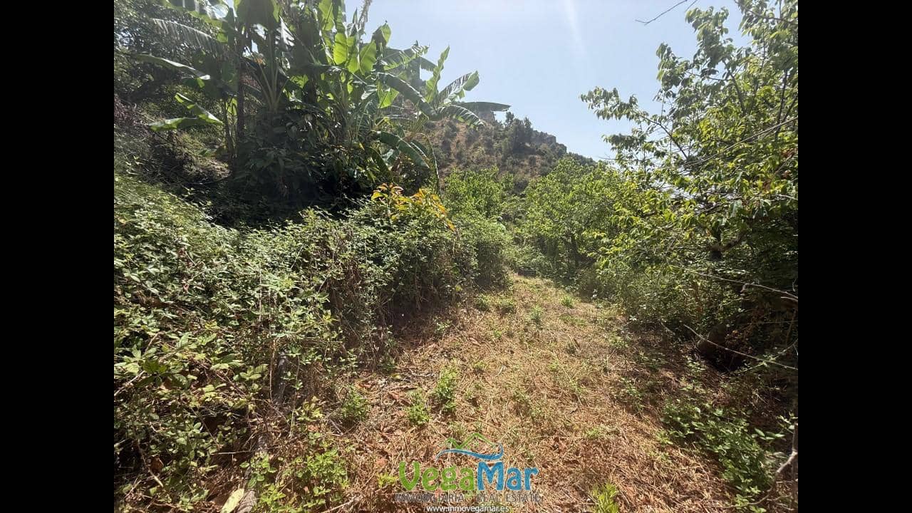 Undeveloped Land for sale in Almunecar - € 80,000 (Ref: 9175576)
