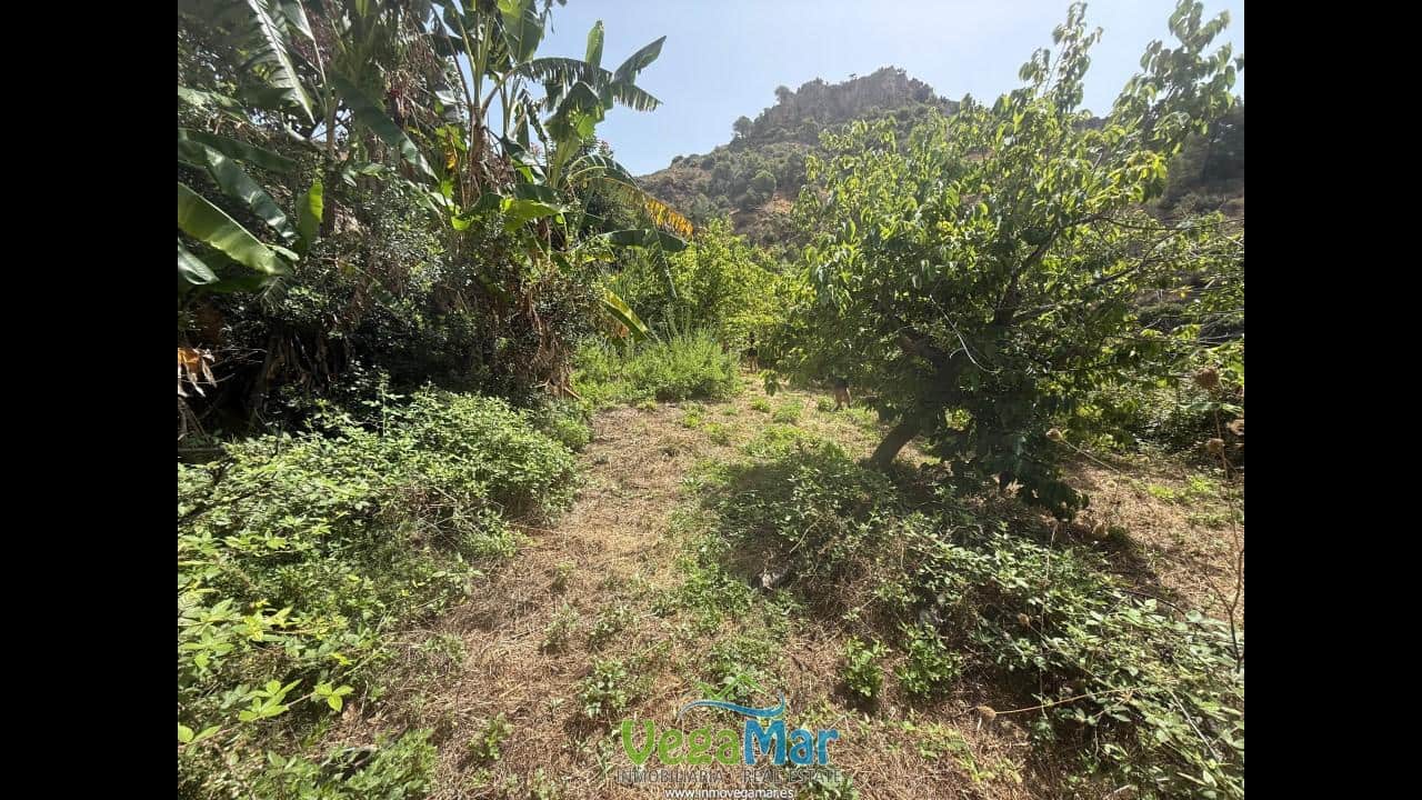 Undeveloped Land for sale in Almunecar - € 80,000 (Ref: 9175576)