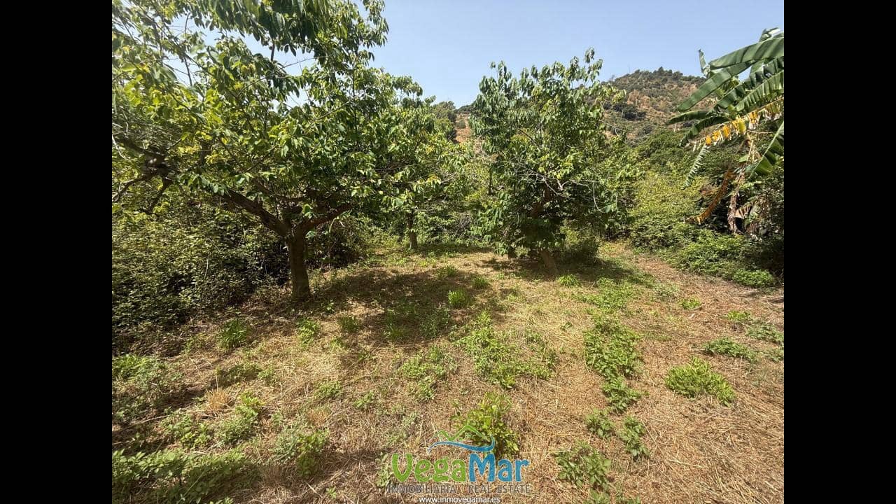 Undeveloped Land for sale in Almunecar - € 80,000 (Ref: 9175576)