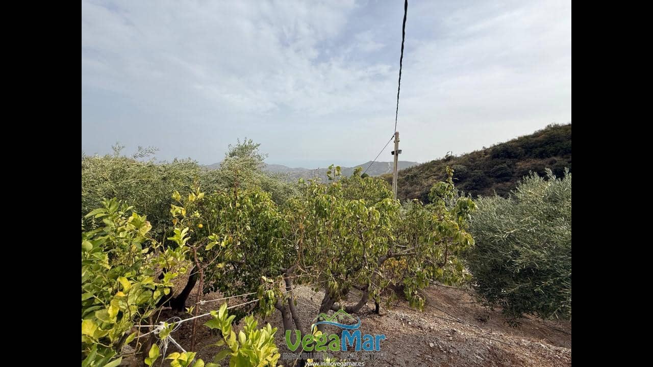 2 quarto Quinta/Casa Rural para venda em Otivar - 214 000 € (Ref: 9216332)