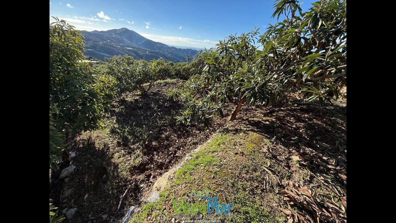 2 soverom Finca/Herregård til salgs i Jete med svømmebasseng - € 145 000 (Ref: 9419215)