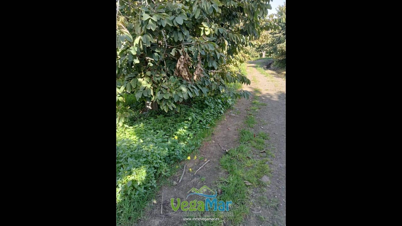 Ubebygd land til salgs i Almunecar - € 105 000 (Ref: 9727015)