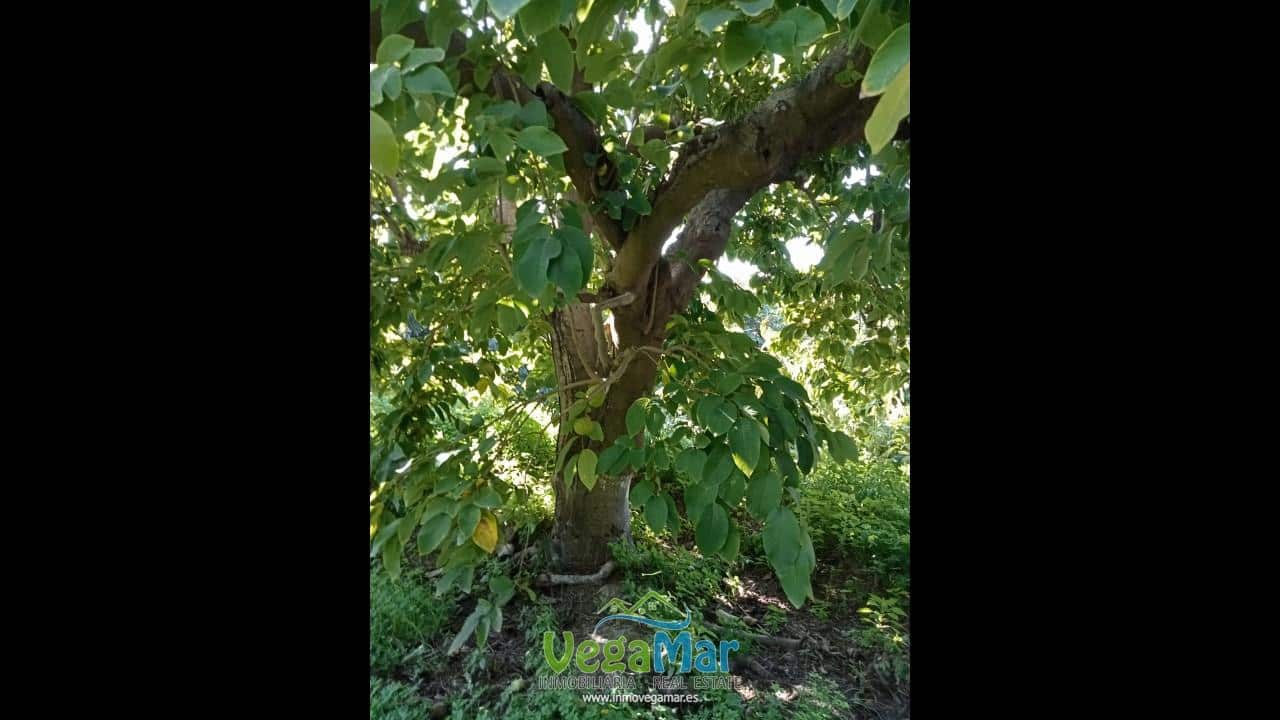 Ubebygd land til salgs i Almunecar - € 105 000 (Ref: 9727015)