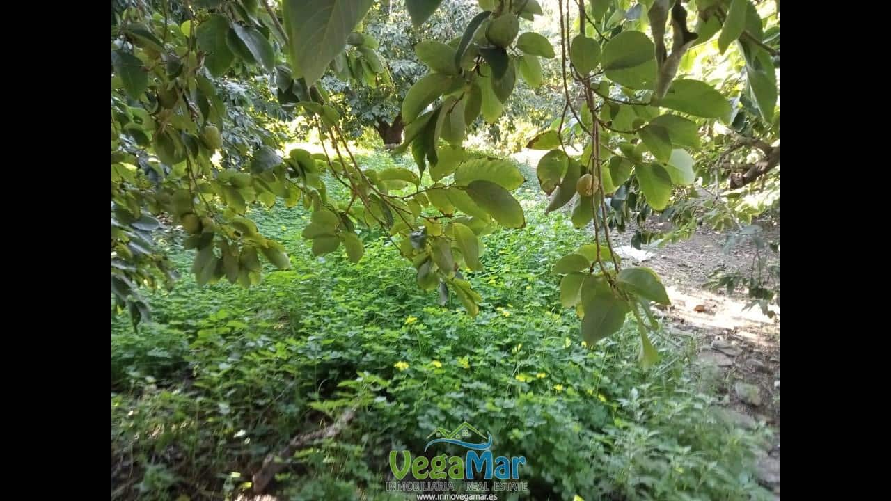 Ubebygd land til salgs i Almunecar - € 105 000 (Ref: 9727015)