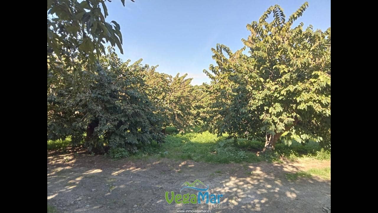 Ubebygd land til salgs i Almunecar - € 105 000 (Ref: 9727015)