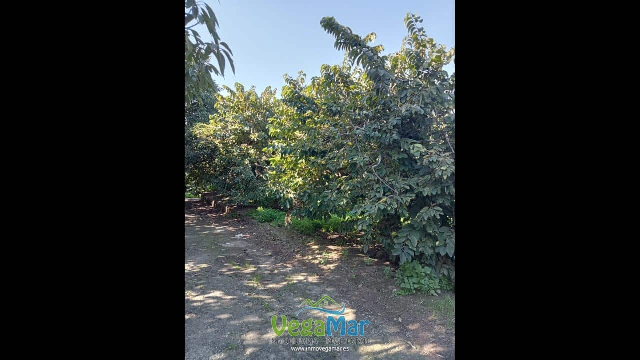 Ubebygd land til salgs i Almunecar - € 105 000 (Ref: 9727015)