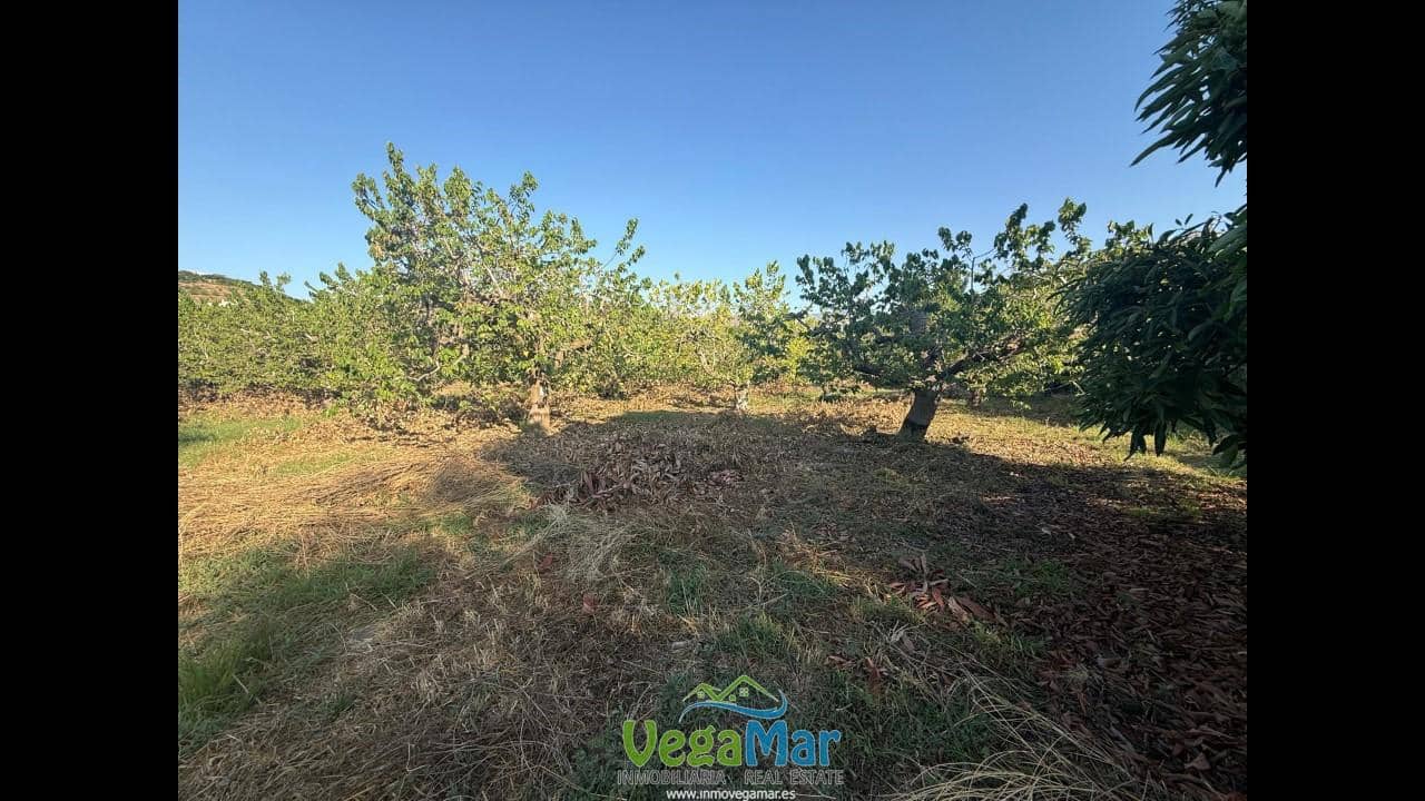 Ubebygd land til salgs i Almunecar - € 105 000 (Ref: 9727015)