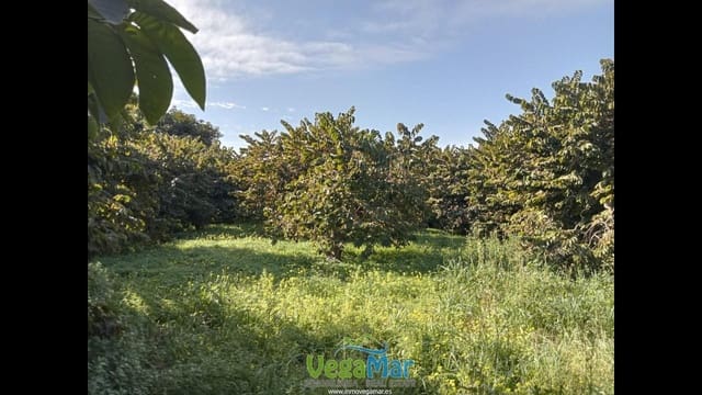 Ubebygd land til salgs i Almuñécar - € 105 000 (Ref: 9727015)