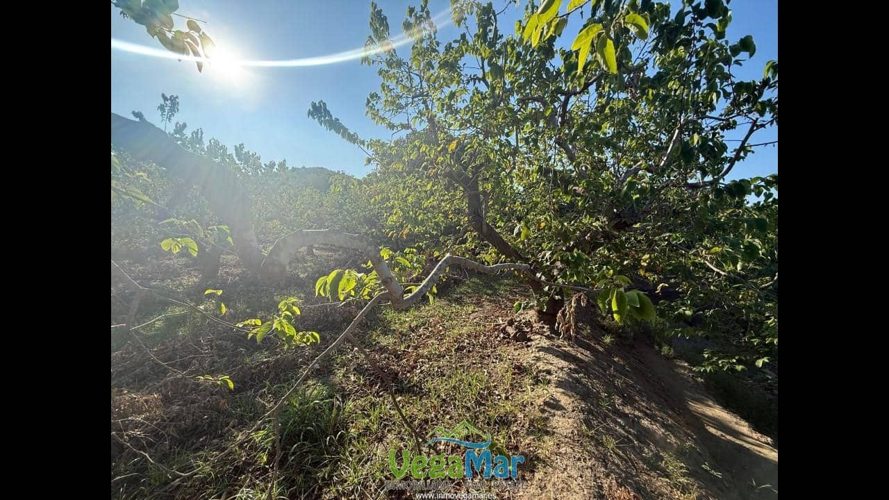 Ubebygd land til salgs i Almunecar - € 105 000 (Ref: 9727015)