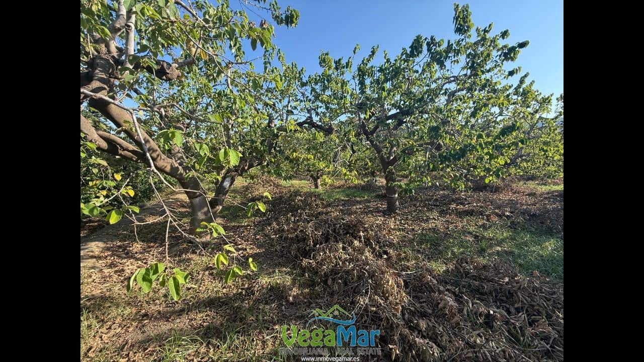 Ubebygd land til salgs i Almunecar - € 105 000 (Ref: 9727015)