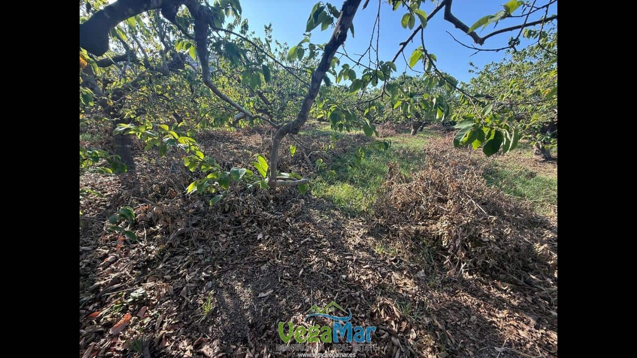 Ubebygd land til salgs i Almunecar - € 105 000 (Ref: 9727015)