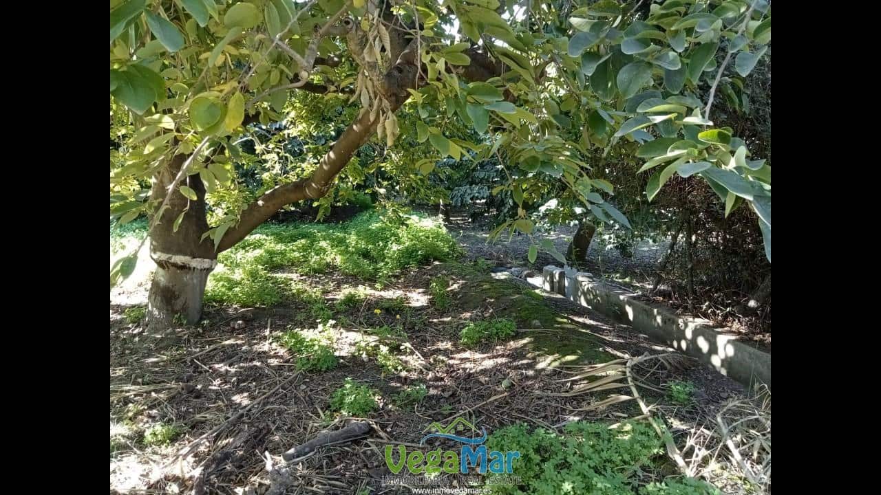 Ubebygd land til salgs i Almunecar - € 105 000 (Ref: 9727015)