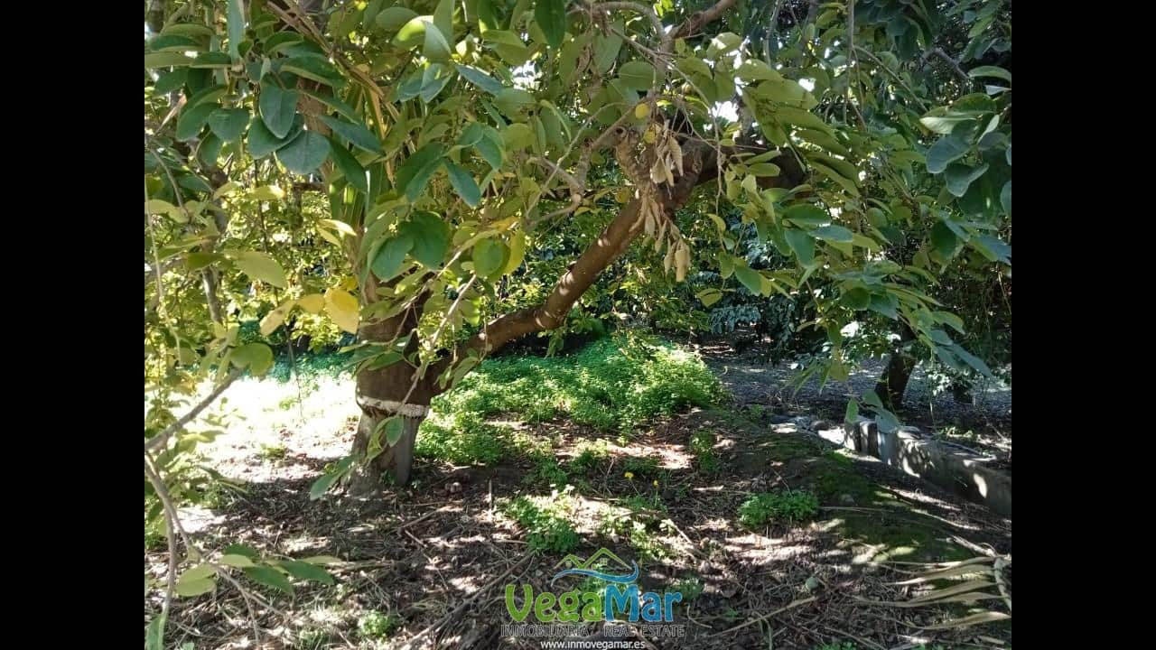 Ubebygd land til salgs i Almunecar - € 105 000 (Ref: 9727015)