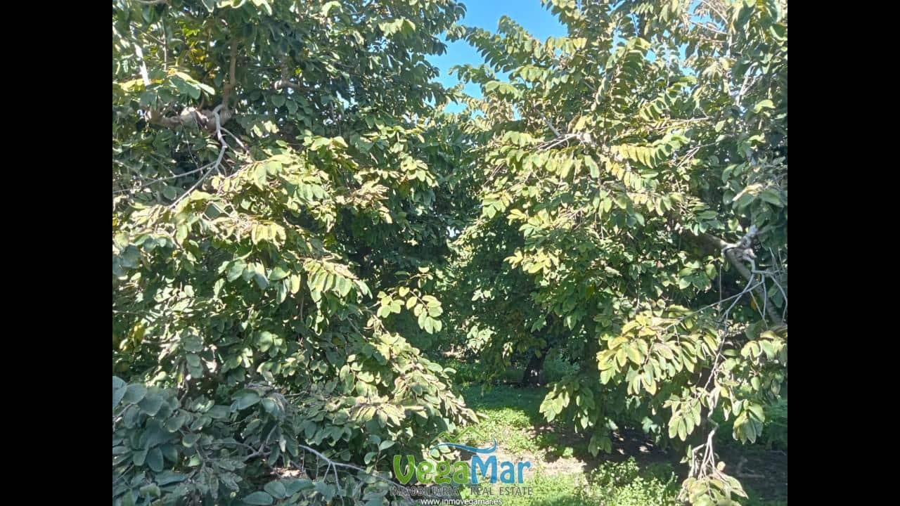 Ubebygd land til salgs i Almunecar - € 105 000 (Ref: 9727015)