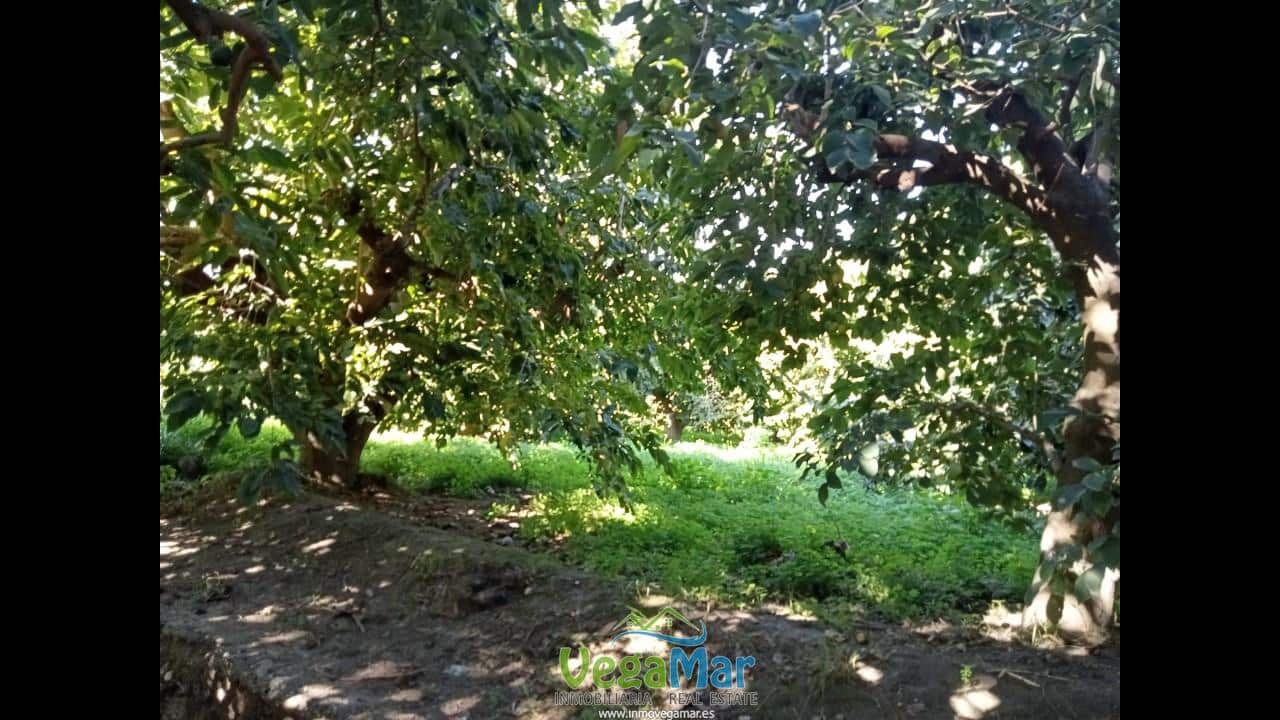 Ubebygd land til salgs i Almunecar - € 105 000 (Ref: 9727015)