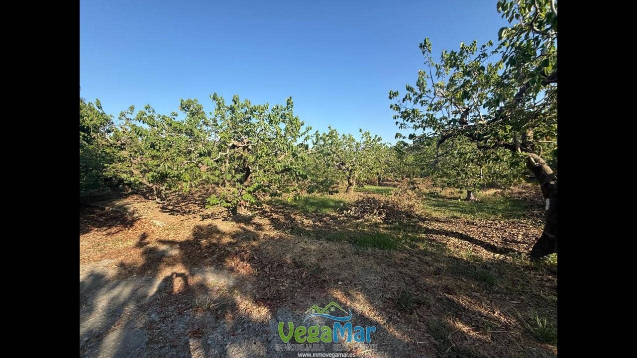 Ubebygd land til salgs i Almunecar - € 105 000 (Ref: 9727015)