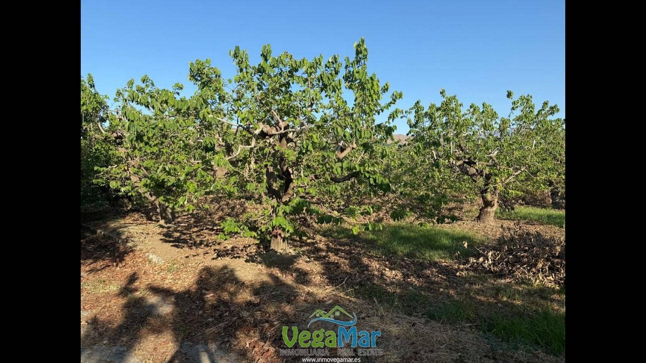 Ubebygd land til salgs i Almunecar - € 105 000 (Ref: 9727015)