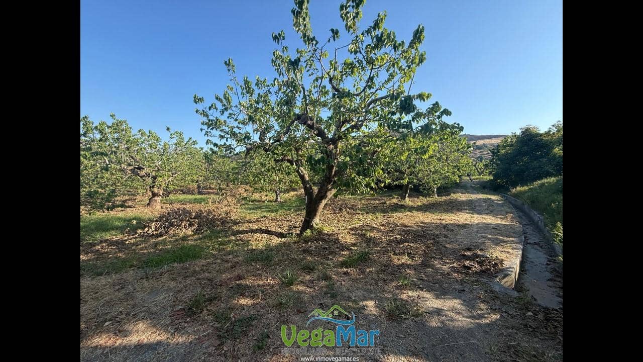 Ubebygd land til salgs i Almunecar - € 105 000 (Ref: 9727015)