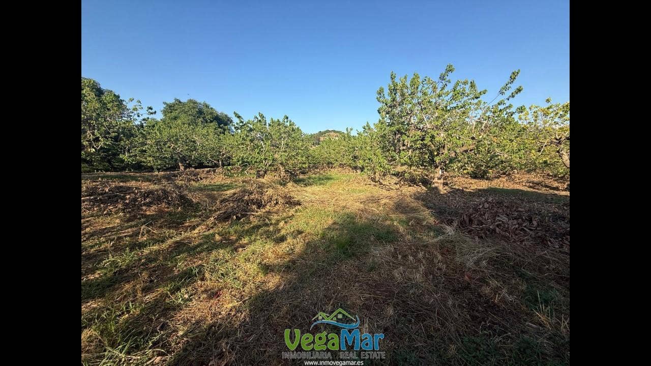 Ubebygd land til salgs i Almunecar - € 105 000 (Ref: 9727015)