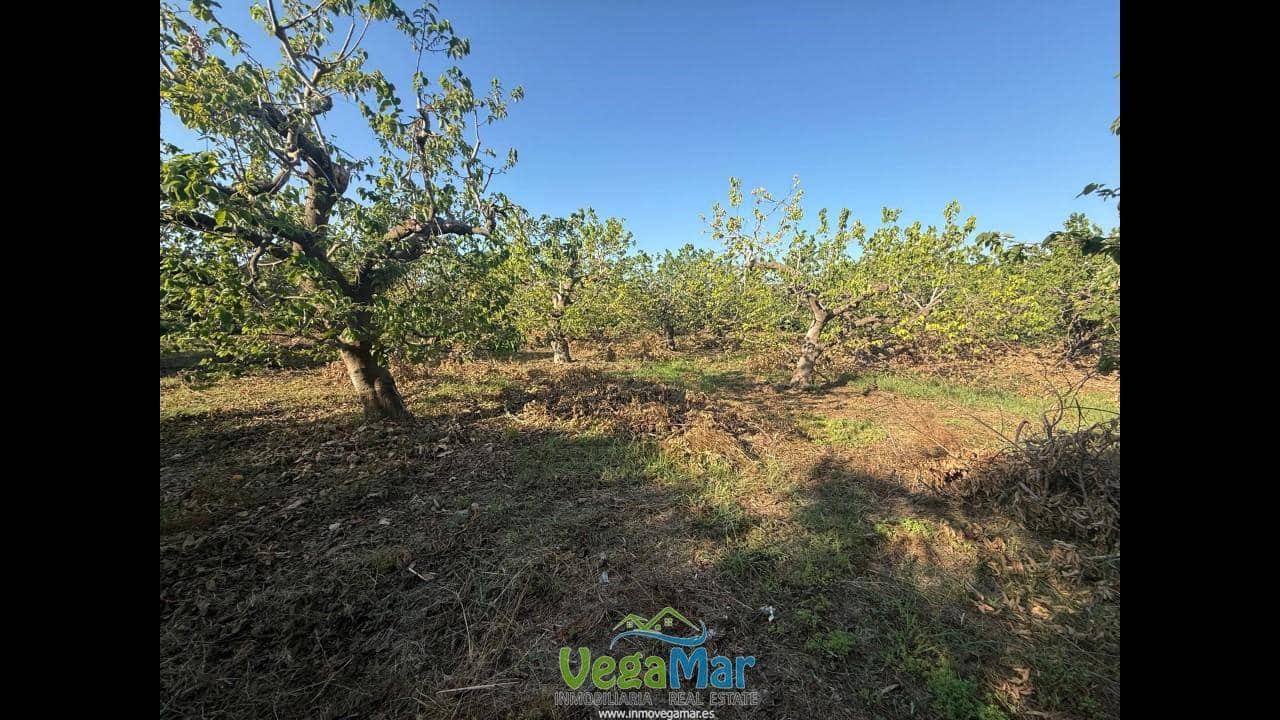 Ubebygd land til salgs i Almunecar - € 105 000 (Ref: 9727015)