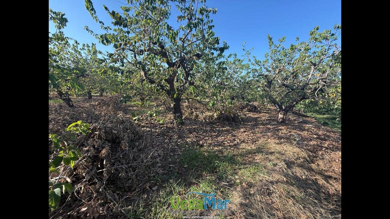 Ubebygd land til salgs i Almunecar - € 105 000 (Ref: 9727015)