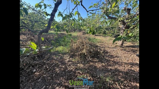 Ubebygd land til salgs i Almuñécar - € 105 000 (Ref: 9727015)