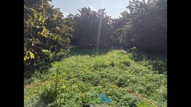 Ubebygd land til salgs i Almuñécar - € 105 000 (Ref: 9727015)